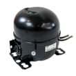 Refrigerator Compressor MKV172CL2J/SM1